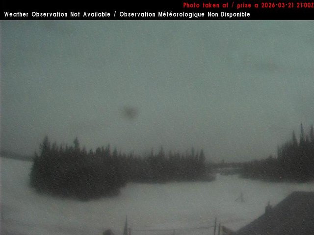 Haines Junction — East live webcam