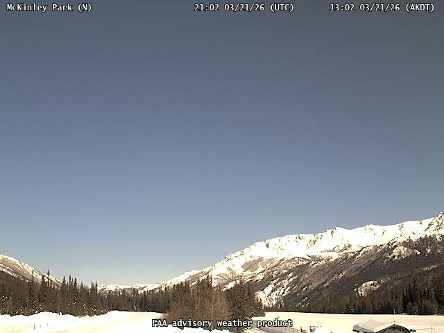 McKinley Park — North live webcam