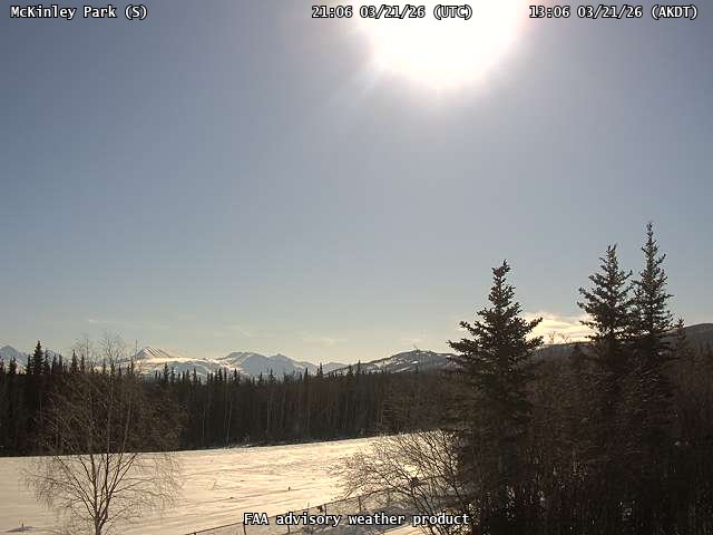 McKinley Park — South live webcam