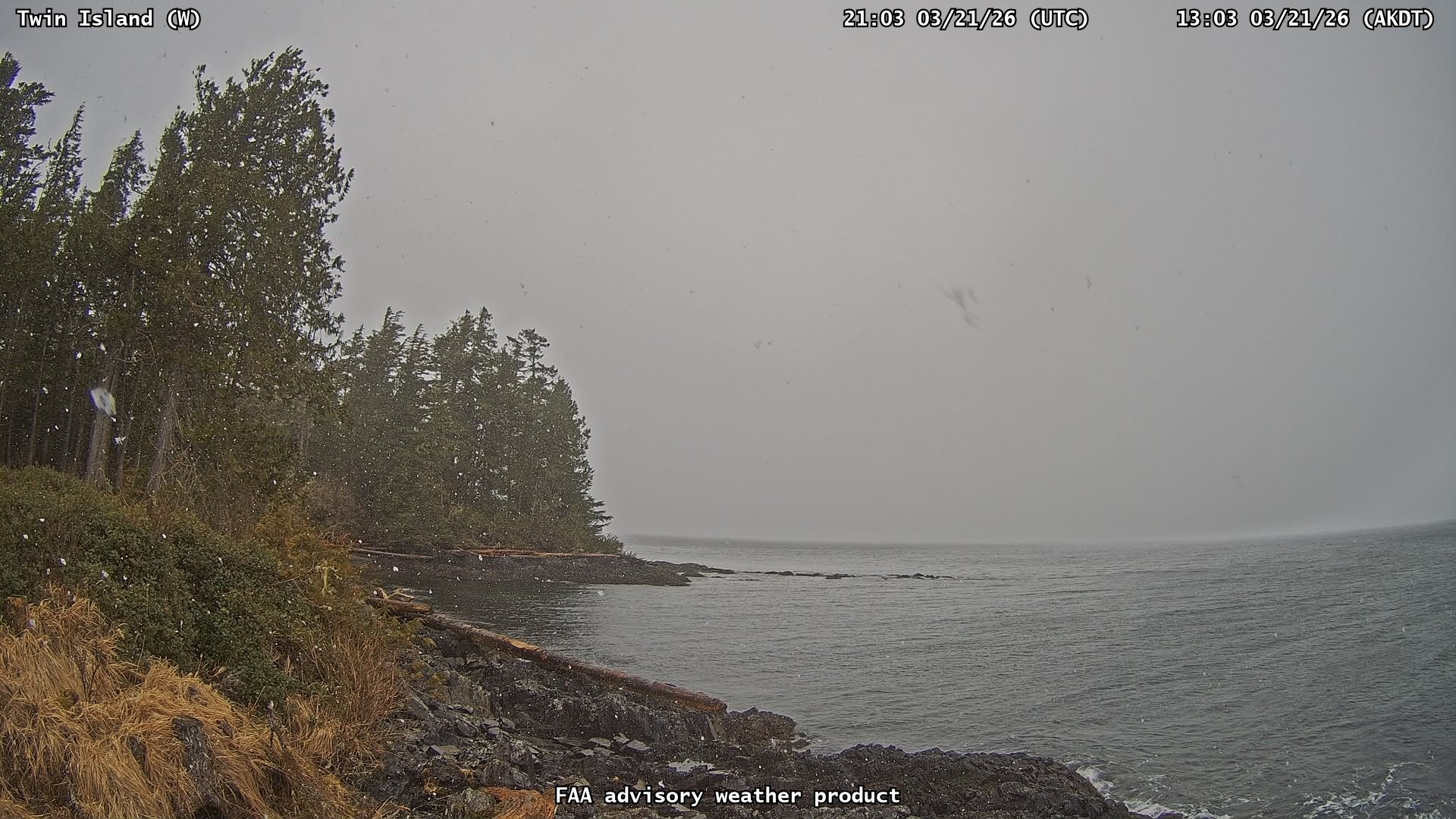 Twin Island — West live webcam