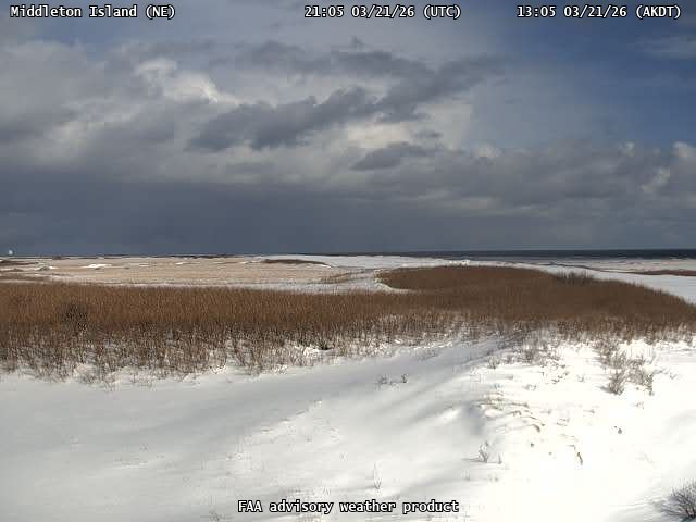 Middleton Island — NorthEast live webcam