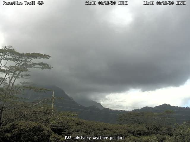 Powerline Trail — West live webcam