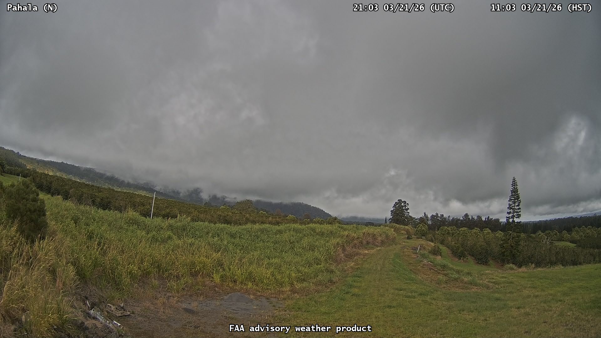 Pahala — North live webcam