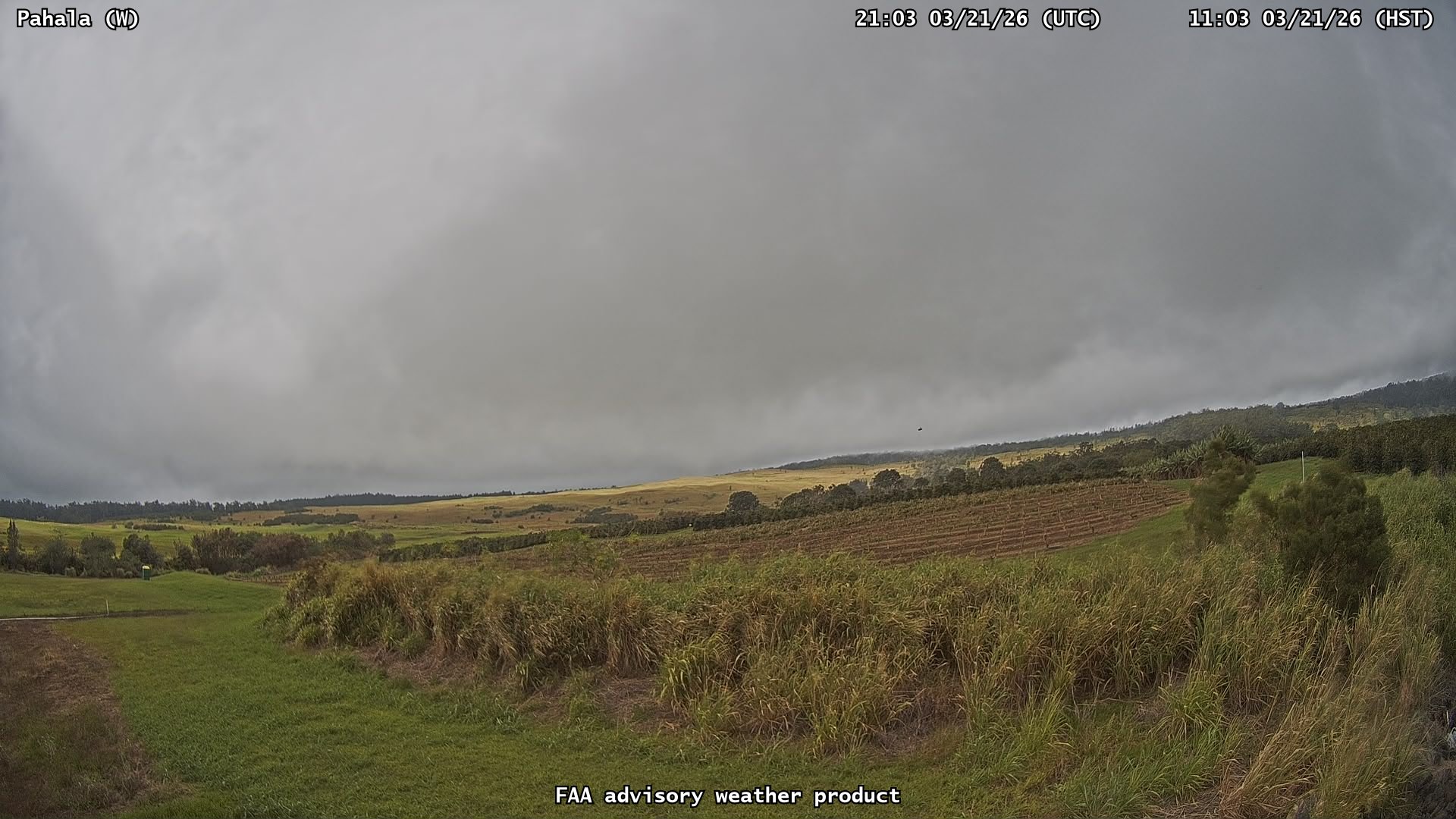 Pahala — West live webcam