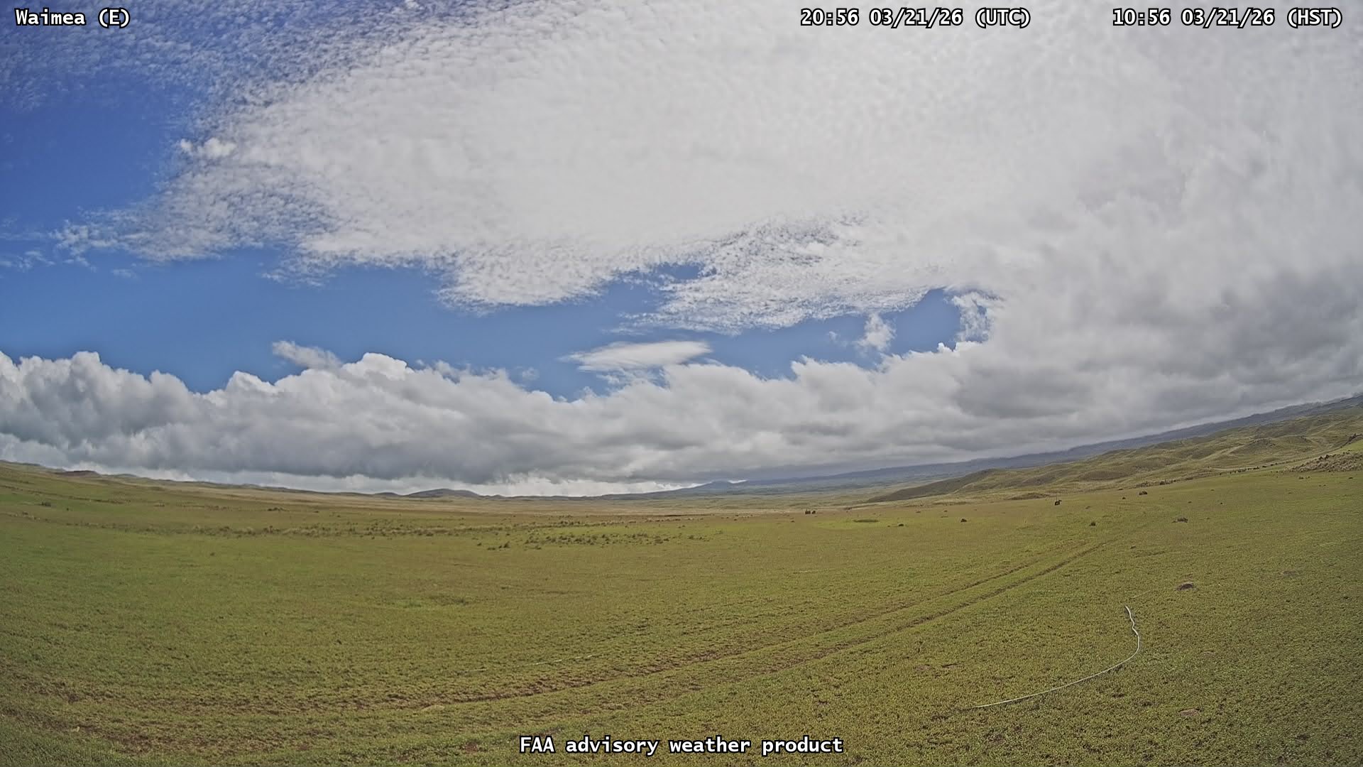 Waimea — East live webcam