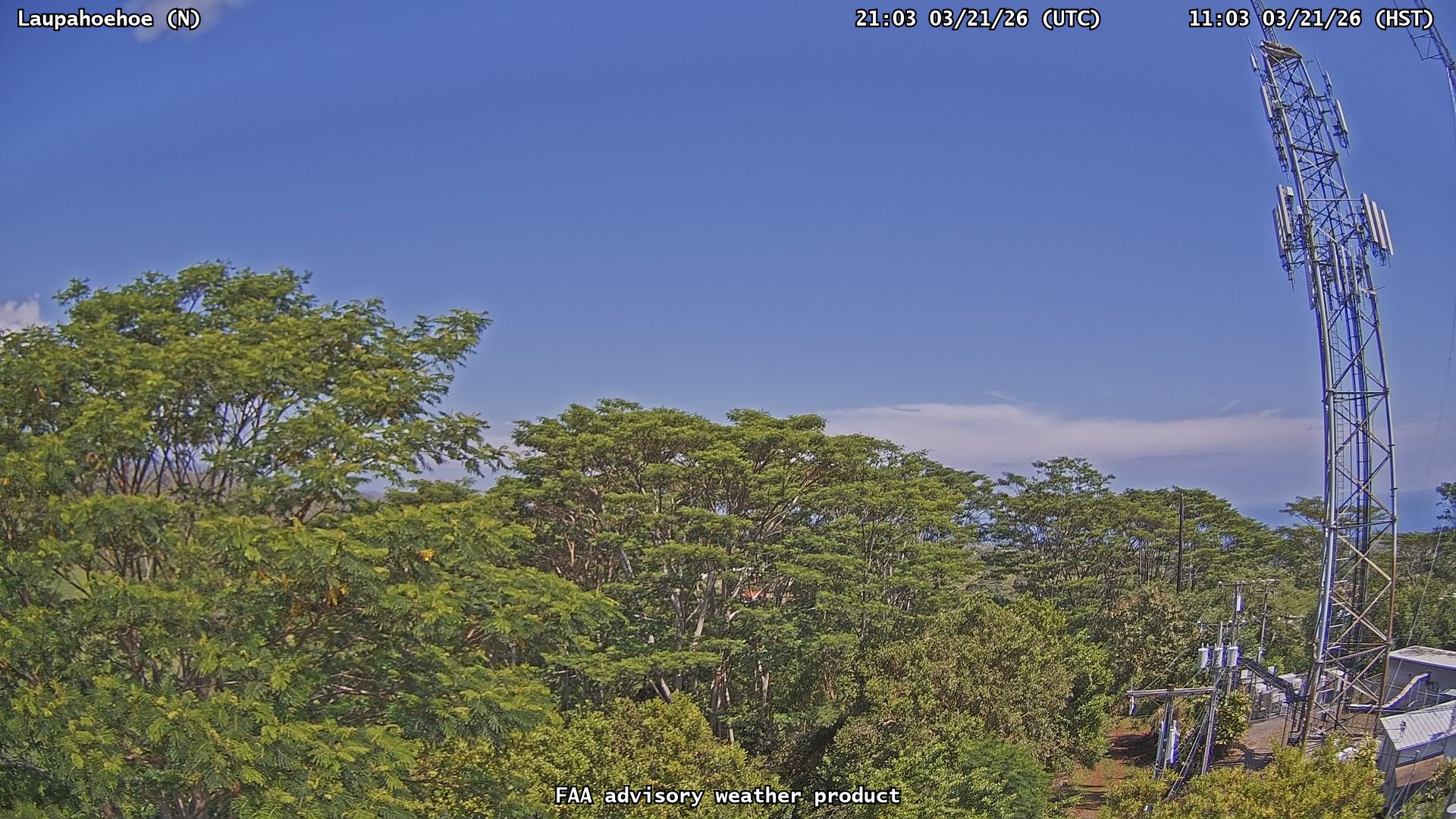 Laupahoehoe — North live webcam
