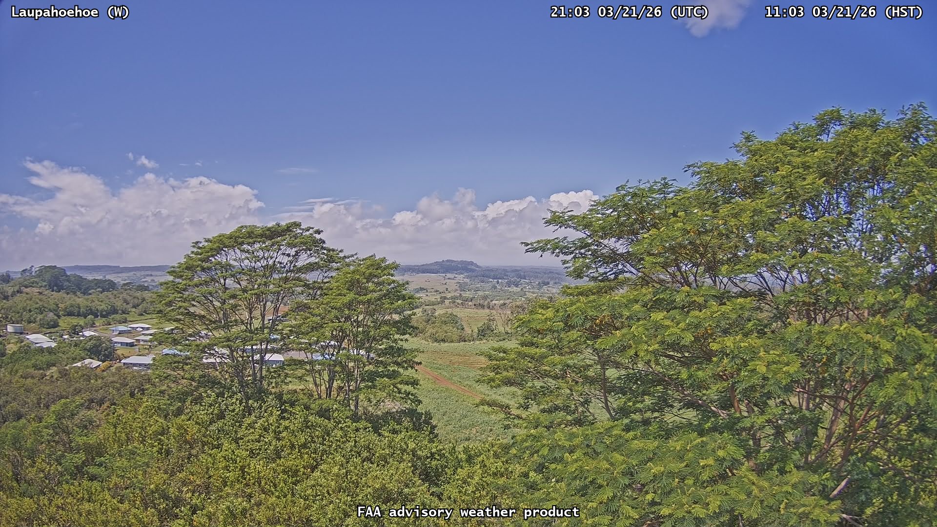 Laupahoehoe — West live webcam