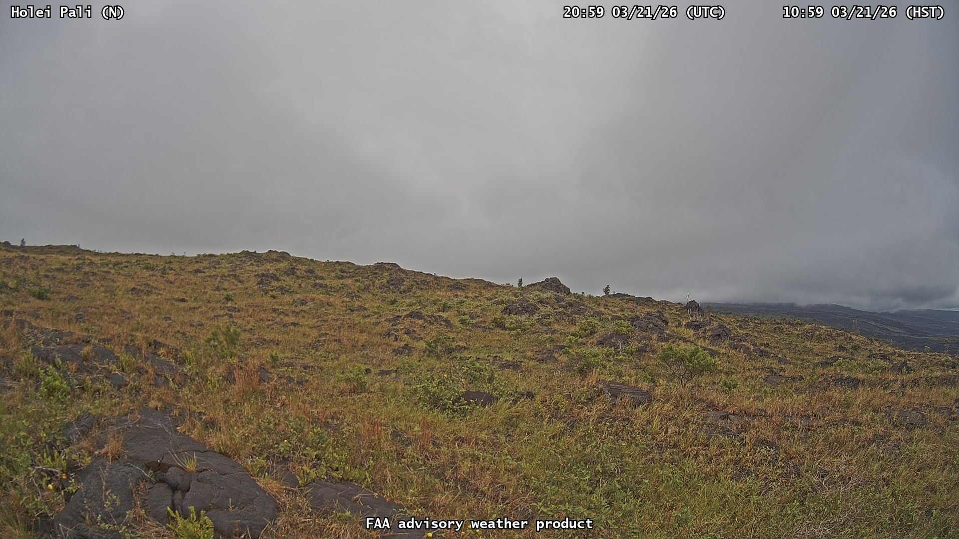 Holei Pali — North live webcam