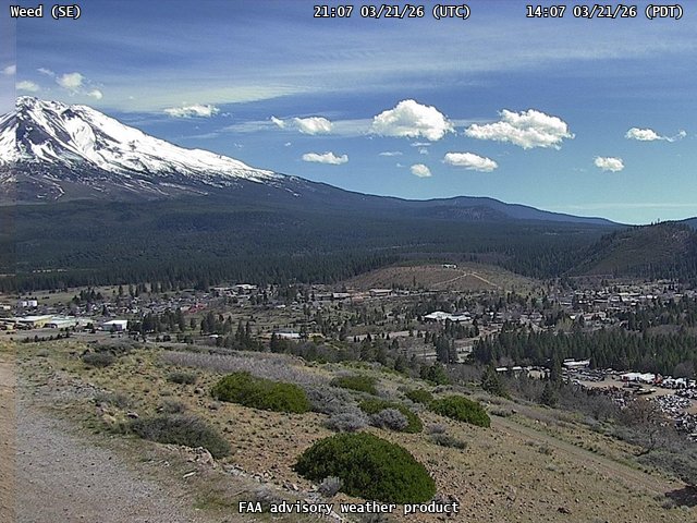 Weed — SouthEast live webcam