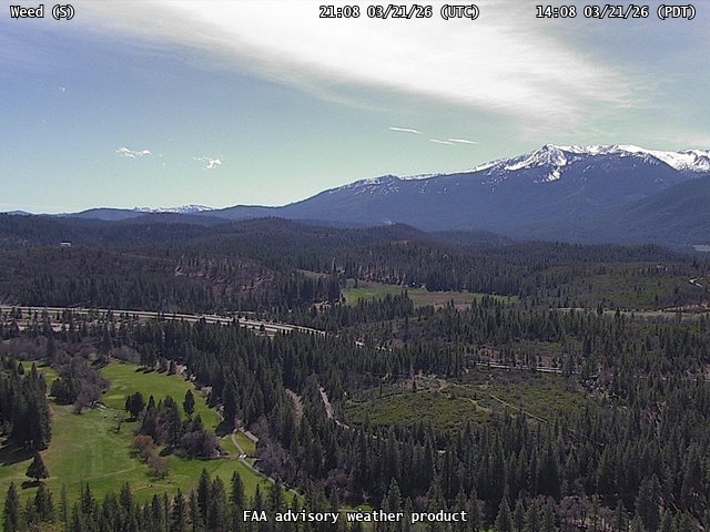 Weed — South live webcam