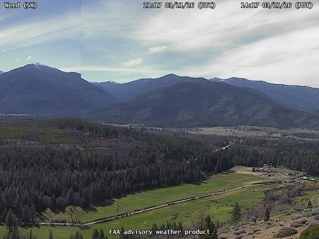 Weed — SouthWest live webcam