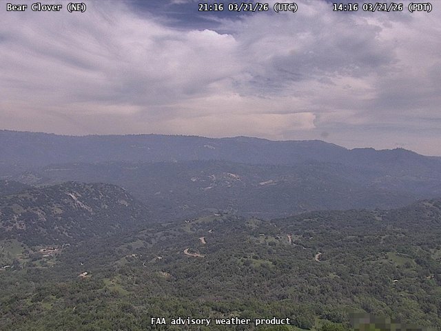 Bear Clover — NorthEast live webcam