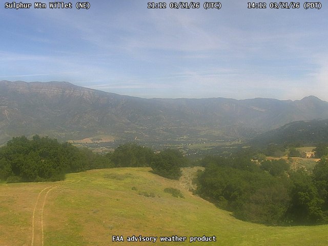 Sulphur Mtn Willet — NorthEast live webcam