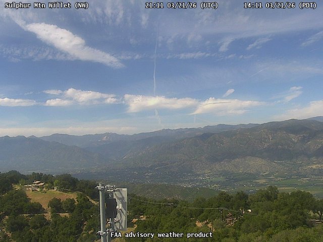 Sulphur Mtn Willet — NorthWest live webcam