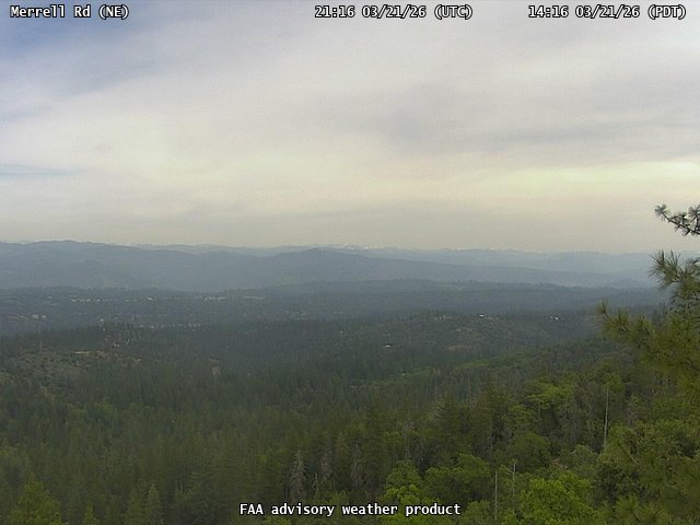 Merrell Rd — NorthEast live webcam