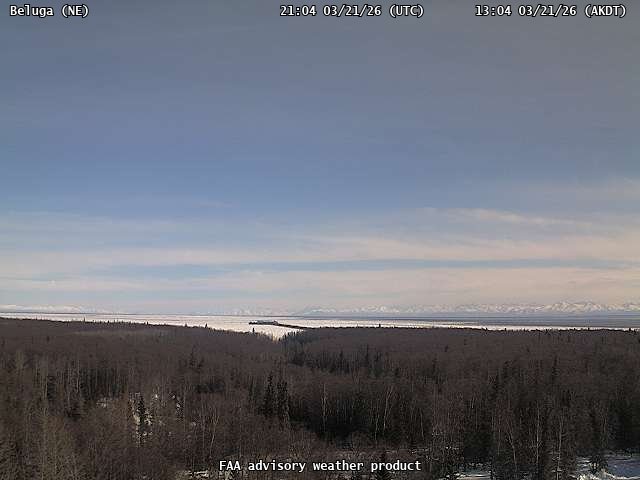 Beluga — NorthEast live webcam