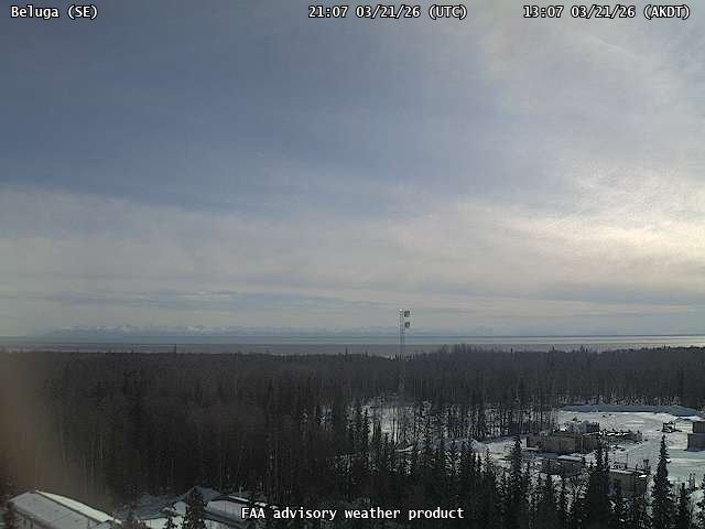 Beluga — SouthEast live webcam