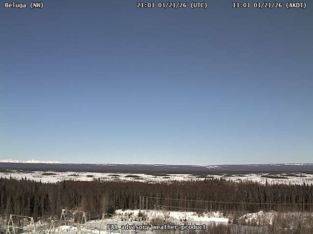 Beluga — NorthWest live webcam