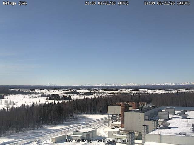 Beluga — SouthWest live webcam