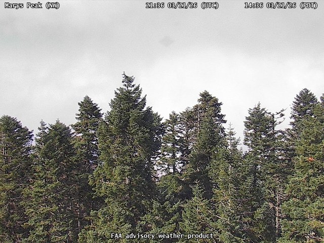 Marys Peak — NorthWest live webcam