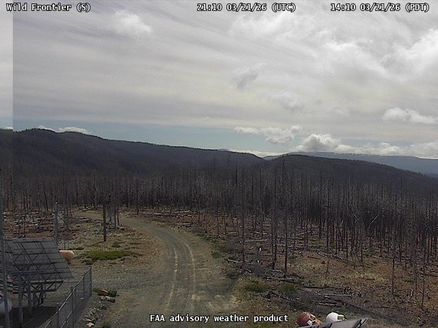 Wild Frontier — South live webcam