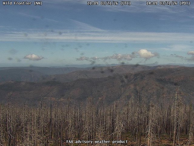 Wild Frontier — NorthWest live webcam