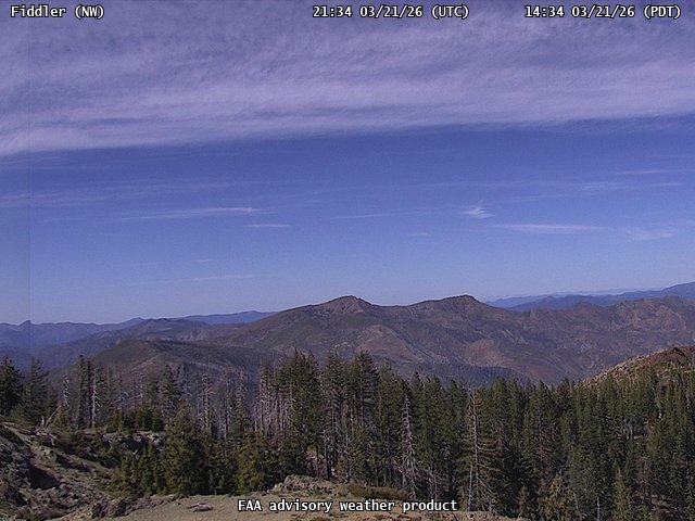 Fiddler — NorthWest live webcam