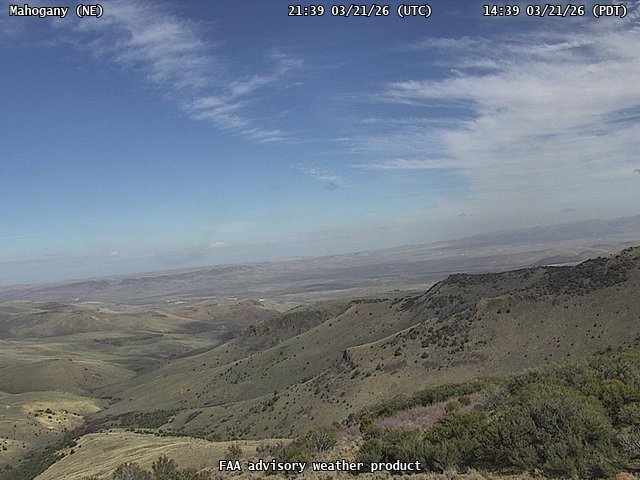 Mahogany — NorthEast live webcam