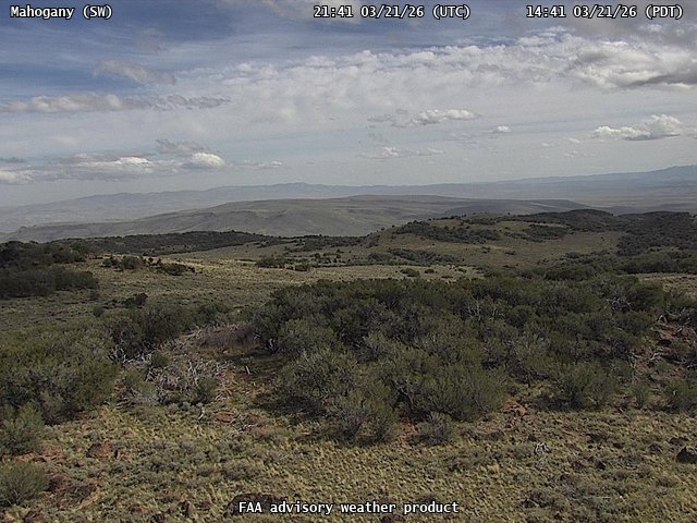 Mahogany — SouthWest live webcam