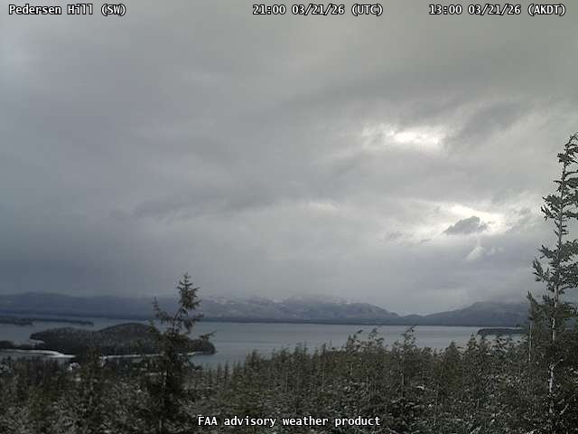 Pedersen Hill — SouthWest live webcam