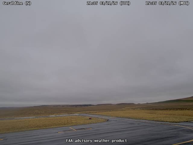 Geraldine — South live webcam