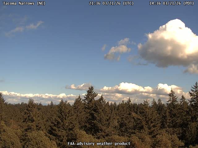 Tacoma Narrows — NorthEast live webcam