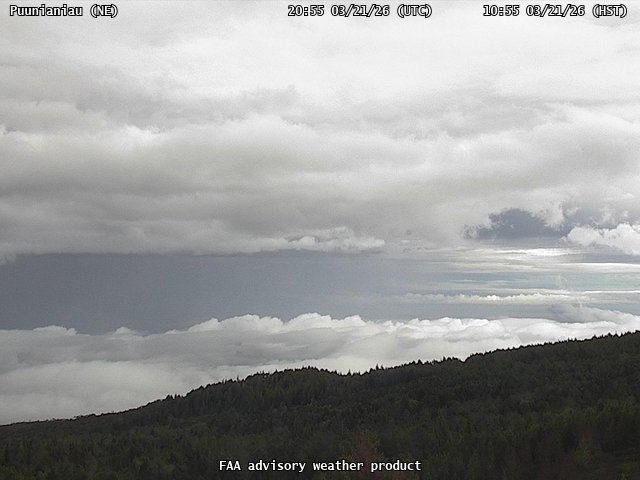 Puunianiau — NorthEast live webcam