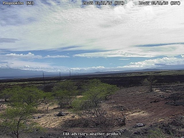 Poopoomino — NorthEast live webcam