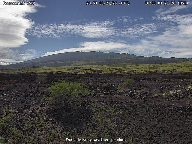 Poopoomino — SouthEast live webcam