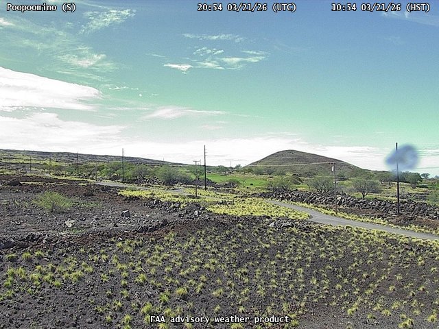 Poopoomino — South live webcam