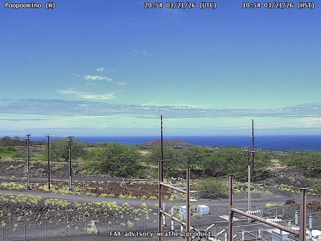 Poopoomino — West live webcam