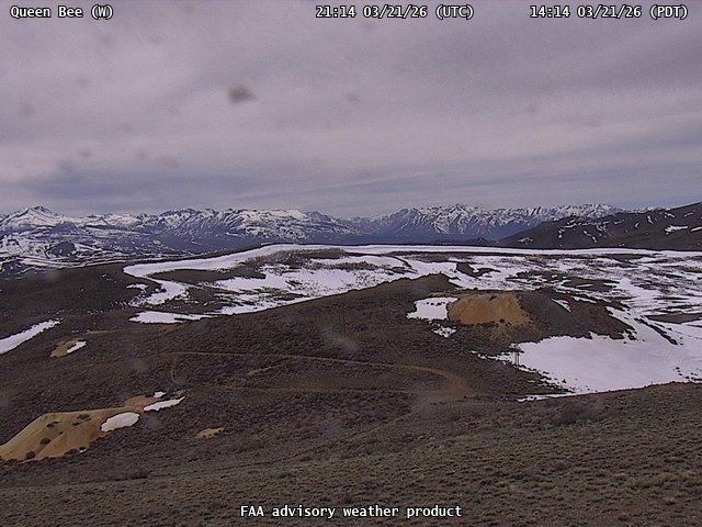 Queen Bee — West live webcam