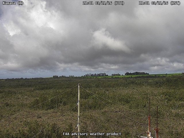 Kamaoa — West live webcam