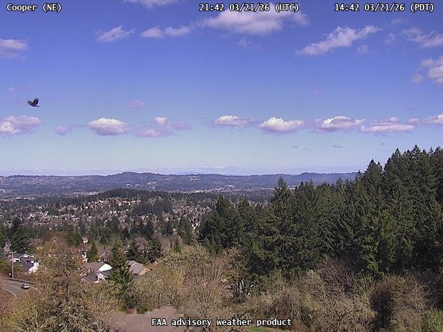 Cooper — NorthEast live webcam