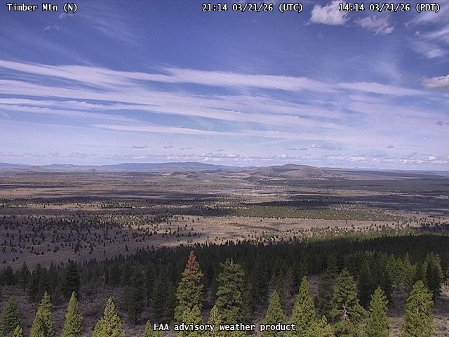 Timber Mtn — North live webcam