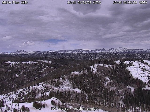 White Pine — NorthEast live webcam