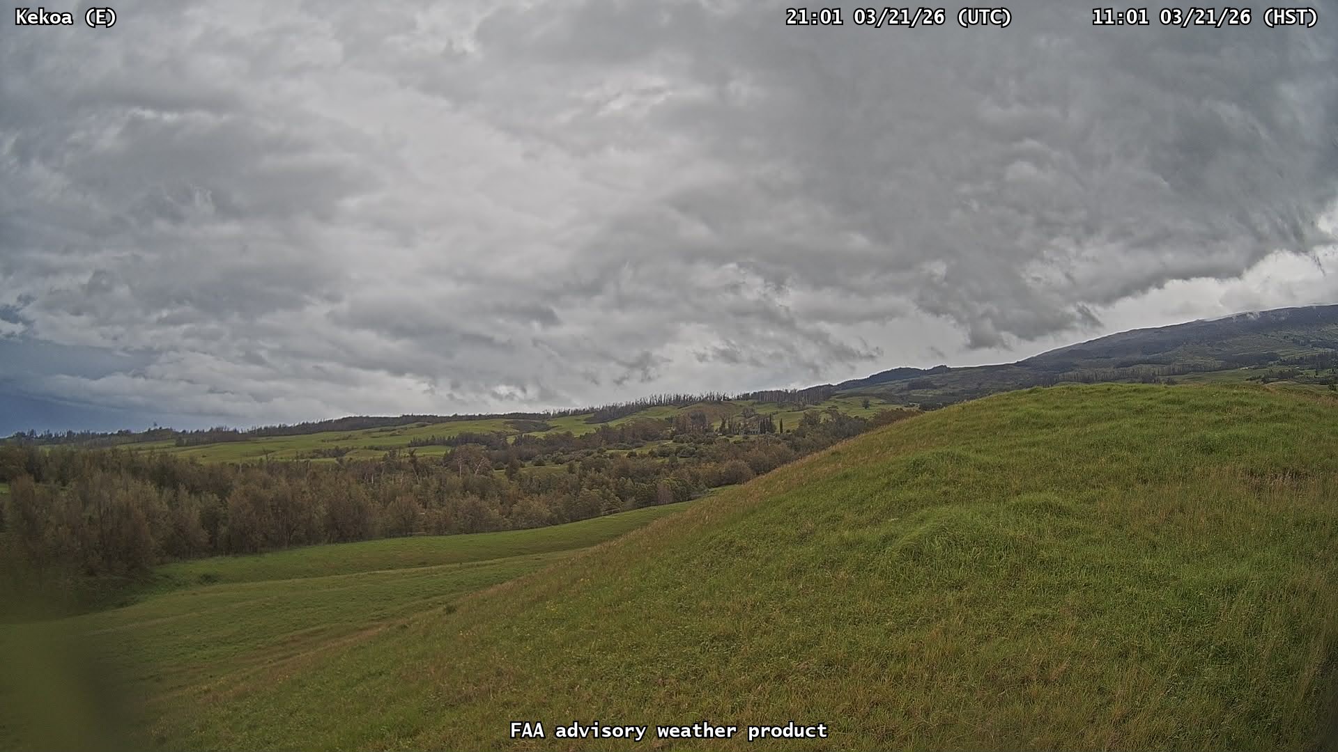 Kekoa — East live webcam