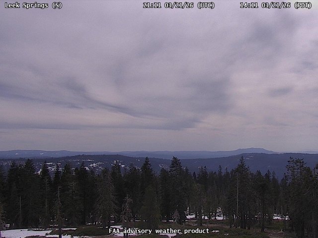 Leek Springs — South live webcam