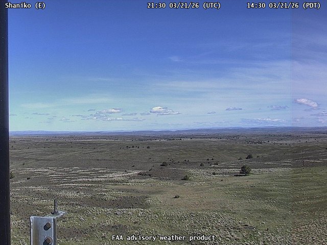 Shaniko — East live webcam