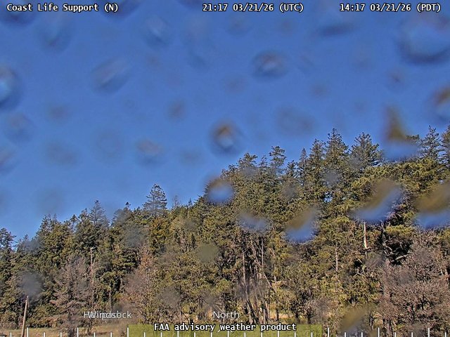 Coast Life Support — North live webcam