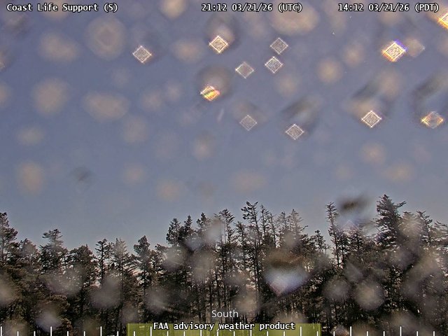 Coast Life Support — South live webcam