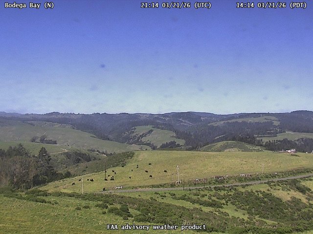 Bodega Bay — North live webcam