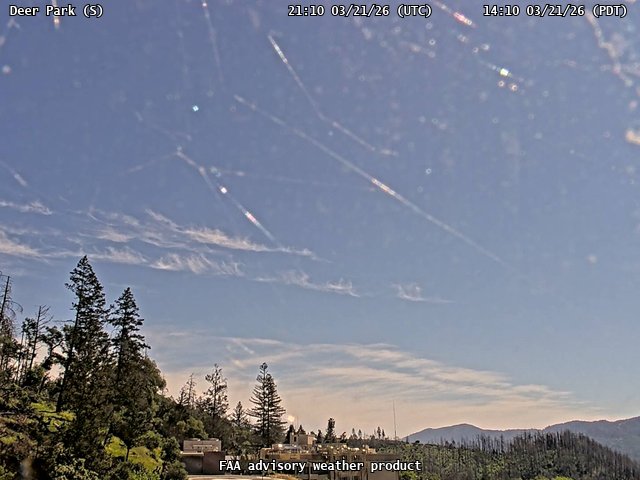 Deer Park — South live webcam